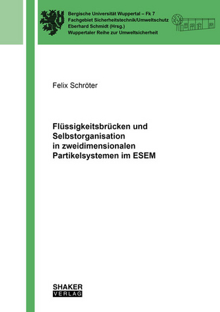 Flüssigkeitsbrücken und Selbstorganisation in zweidimensionalen Partikelsystemen im ESEM