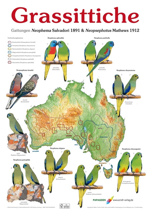 Poster Grassittiche - Thomas Arndt