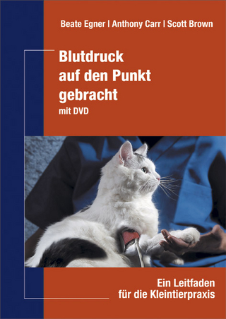 Blutdruck auf den Punkt gebracht