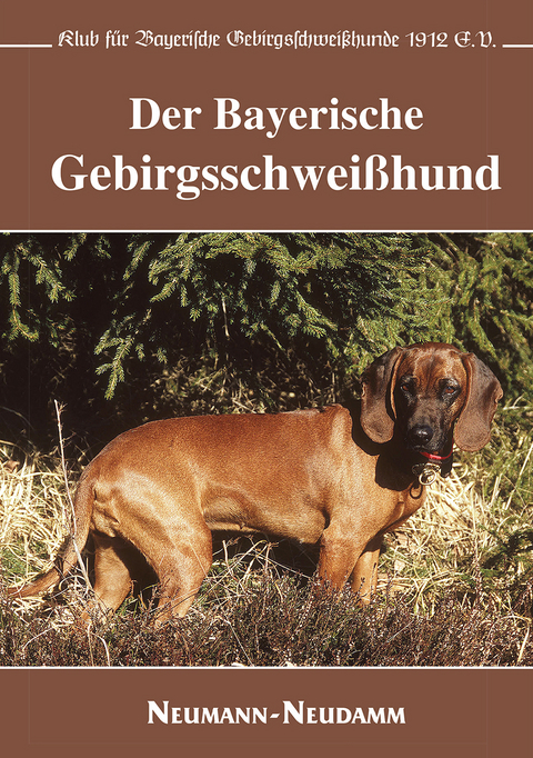 Der Bayerische Gebirgsschwei&szlig;hund