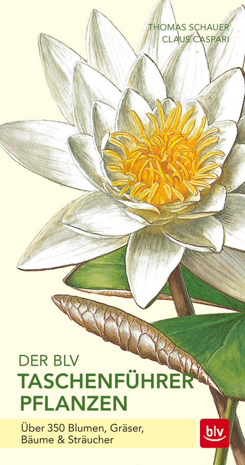 Der BLV Taschenf&uuml;hrer Pflanzen - Thomas Schauer, Claus Caspari