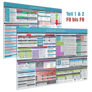 [2er Set] ICD-10 (F) Navigator Wandposter -Teil 1&2 (F0 bis F9)