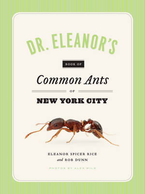 Dr. Eleanor's Book of Common Ants of New York City -  Rob Dunn,  Eleanor Spicer Rice,  Alex Wild