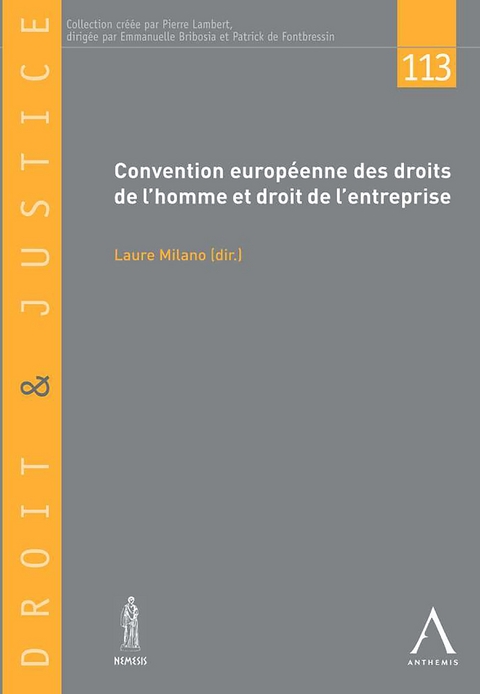 Convention europeenne des droits de l'homme et droit de l'entreprise -  Collectif,  Laure (dir.) Milano