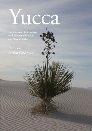 Yucca