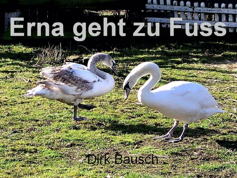 Erna geht zu Fuss - Dirk Bausch