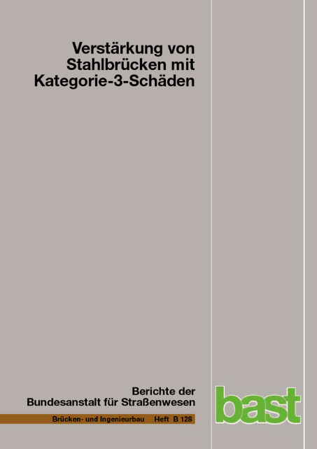 Verst&auml;rkung von Stahlbr&uuml;cken mit Kategorie-3-Sch&auml;den - Dieter Ungermann, Bettina Brune, Pascall Giese