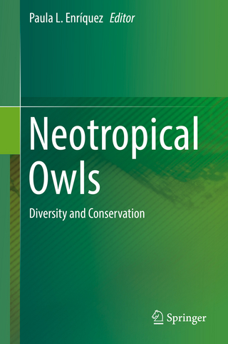 Neotropical Owls