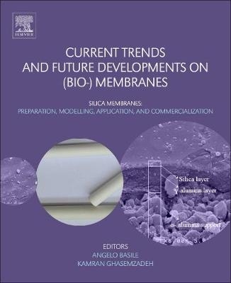 Current Trends and Future Developments on (Bio-) Membranes - 