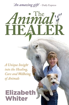 The Animal Healer
