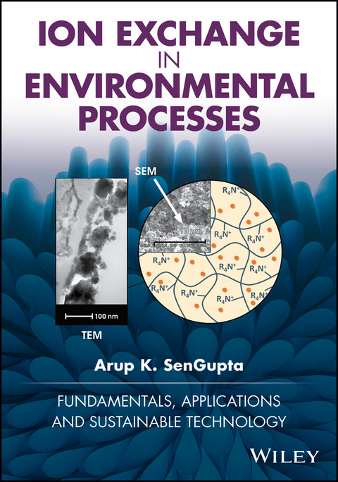 Ion Exchange in Environmental Processes -  Arup K. SenGupta