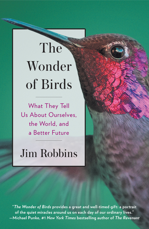The Wonder of Birds - Jim Robbins