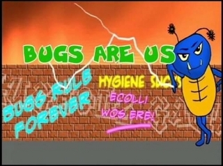 Bugs are Us