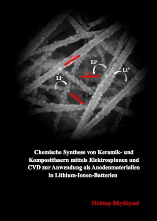 Chemische Synthese von Keramik- und Kompositfasern mittels Elektrospinnen und CVD zur Anwendung als Anodenmaterialien in Lithium-Ionen-Batterien