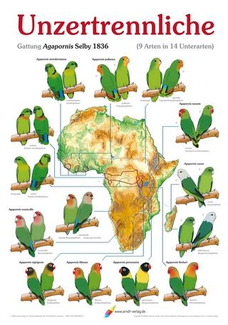 Poster Unzertrennliche