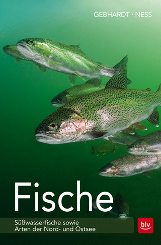 Fische