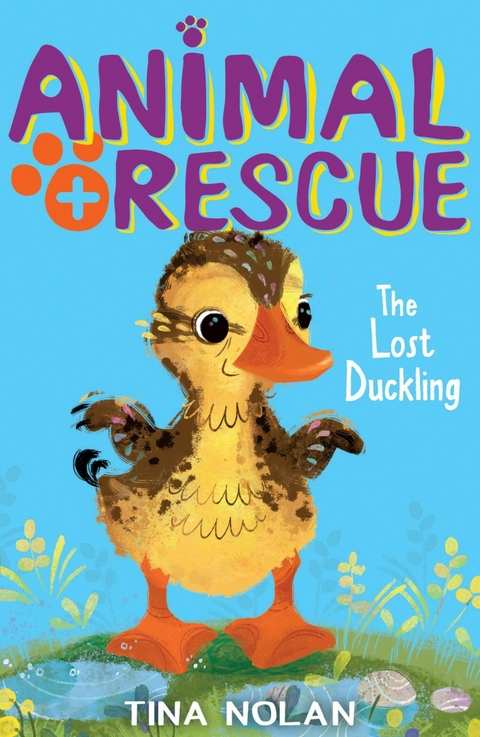 Lost Duckling -  Tina Nolan