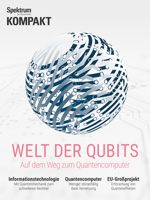 Spektrum Kompakt - Welt der Qubits