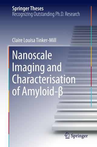 Nanoscale Imaging and Characterisation of Amyloid-β
