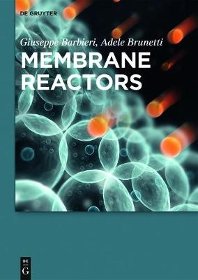Membrane Reactors