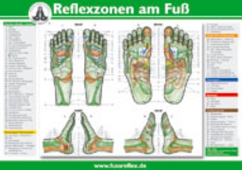 Die Reflexzonen der F&uuml;&szlig;e - Hanne Marquardt