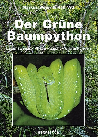 Der Grüne Baumpython