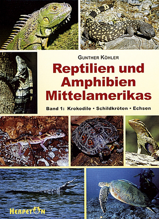 Reptilien und Amphibien Mittelamerikas