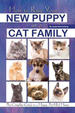 How to Raise Your New Puppy in a Cat Family