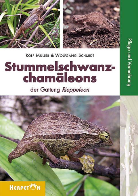 Stummelschwanzcham&auml;leons - Rolf M&uuml;ller, Wolfgang Schmidt