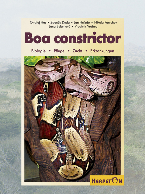 Boa constrictor - Ondřej Hes, Zdeněk Duda, Jan Hn&iacute;zdo, Nikola Pantchev, Jana Bulantov&aacute;, Vladimir Vrabec
