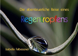 Die abenteuerliche Reise eines Regentropfens
