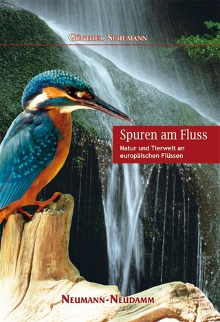 Spuren am Fluss