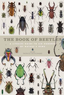 The Book of Beetles : A Lifesize Guide to Six Hundred of Nature's Gems