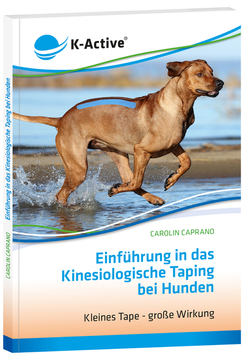 Einführung in das Kinesiologische Taping bei Hunden - Carolin Caprano