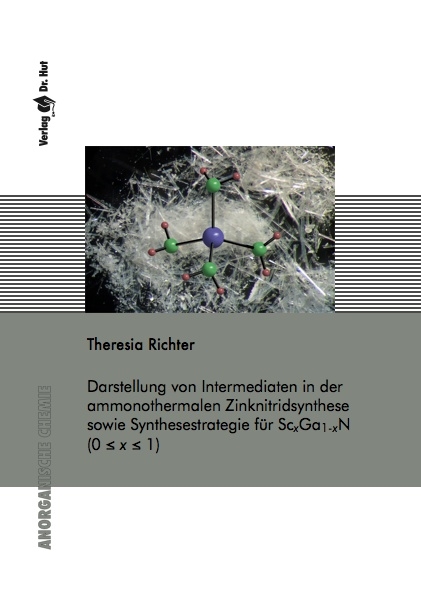 Darstellung von Intermediaten in der ammonothermalen Zinknitridsynthese sowie Synthesestrategie f&uuml;r ScxGa1&ndash;xN (0 <= x <= 1) - Theresia Richter