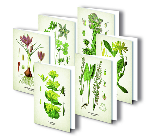 Kunstklappkarten "Alpenblumen"