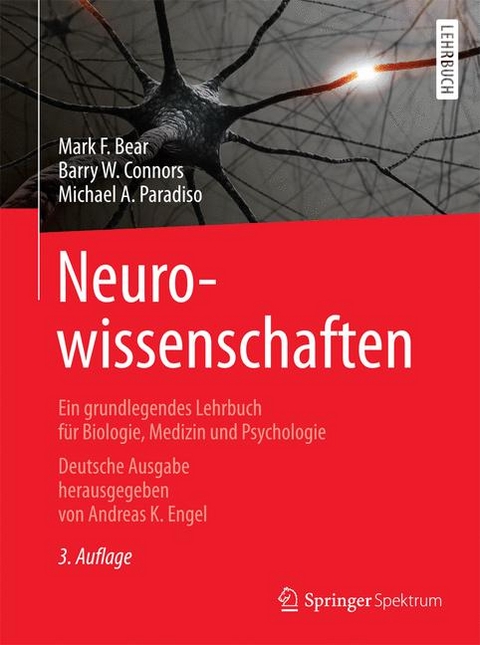 Neurowissenschaften - Mark F. Bear, Barry W. Connors, Michael A. Paradiso