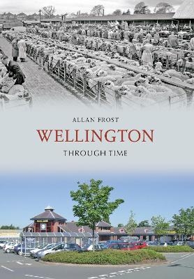 Wellington Through Time - Allan Frost
