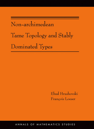 Non-Archimedean Tame Topology and Stably Dominated Types