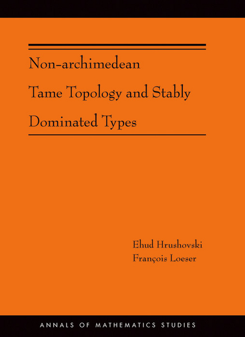 Non-Archimedean Tame Topology and Stably Dominated Types - Ehud Hrushovski, François Loeser