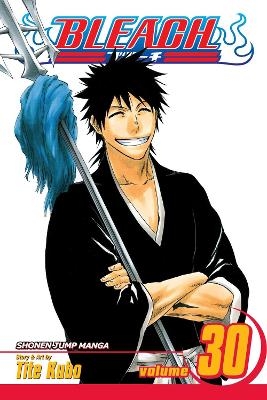 Bleach, Vol. 30 - Tite Kubo