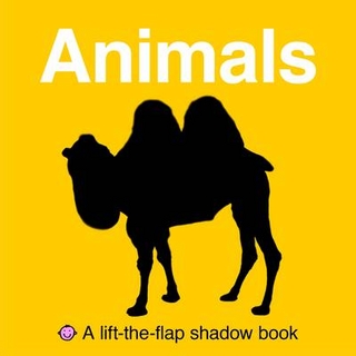 Lift the Flap Shadow Books (Small) - Park