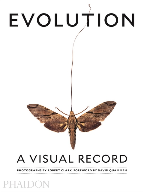 Evolution - Robert Clark