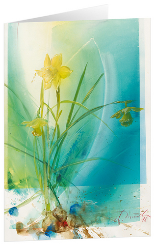 Freude - Kunst-Faltkarten ohne Text (5 Stück)