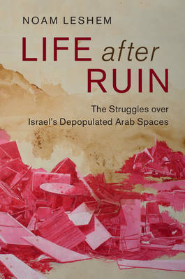 Life after Ruin -  Noam Leshem