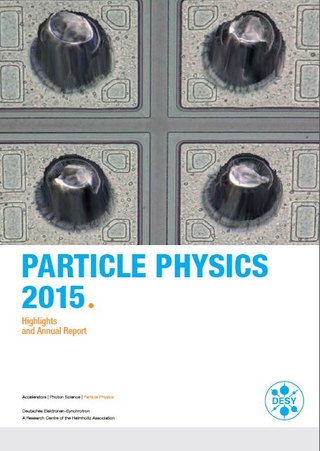 Particle Physics 2015