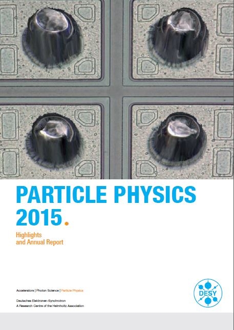 Particle Physics 2015 - 