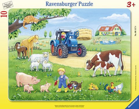 Sommer auf dem Bauernhof