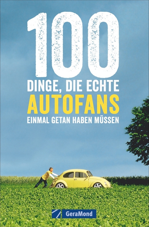 100 Dinge, die echte Autofans einmal getan haben müssen - Susanne Flachmann