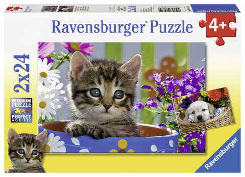 Niedliche Vierbeiner